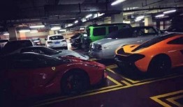 郑州豪车爆料视频网站,视频网站揭秘豪车云集盛况